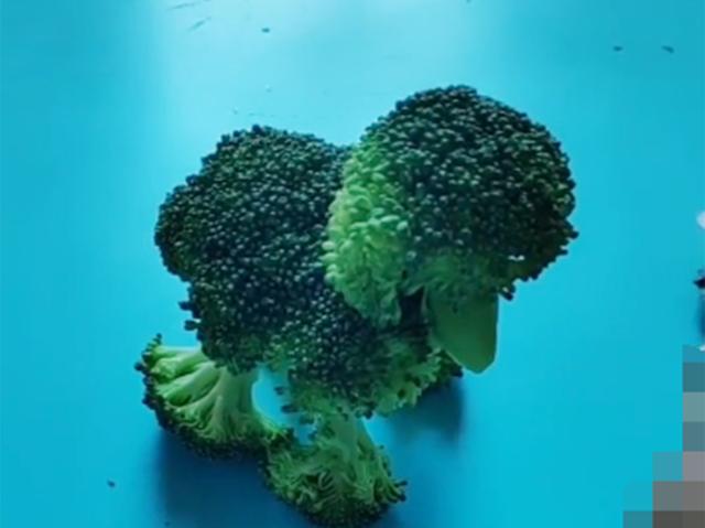 幼儿园蔬菜手工作业，家长们真是一个比一个有才，老师都被逗笑了