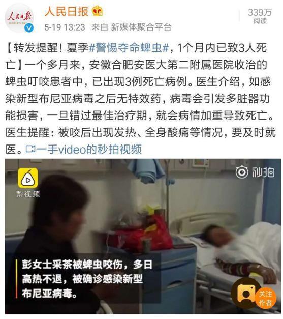每年都有孩子因它死亡！不知道这些虫子的可怕，别急着带娃出门