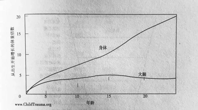 儿童诊疗师笔记：9件和孩子心理成长有关的事