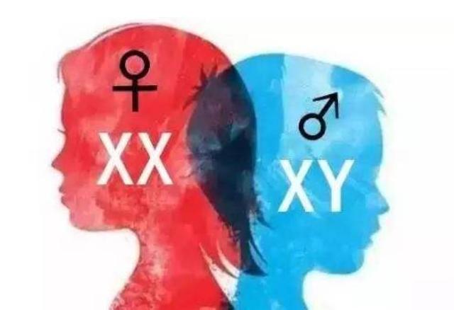 胎宝宝的性别，是由谁决定的？又是什么时候确定下来的？