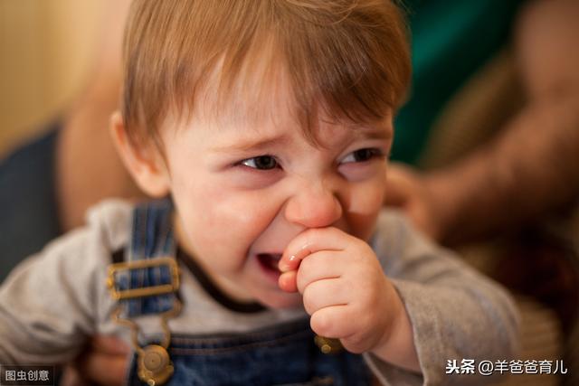 孩子经常拉羊屎蛋，长期积食、脾虚，面黄肌瘦的，如何调理？