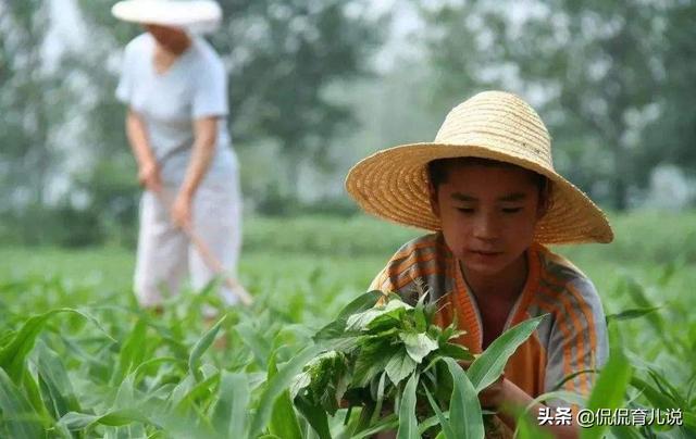 孩子越懂事宝妈越揪心？我宁可孩子无理取闹，也不要他过分懂事