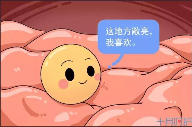 怀孕到底多辛苦？这个地方被整整撑大了1000倍