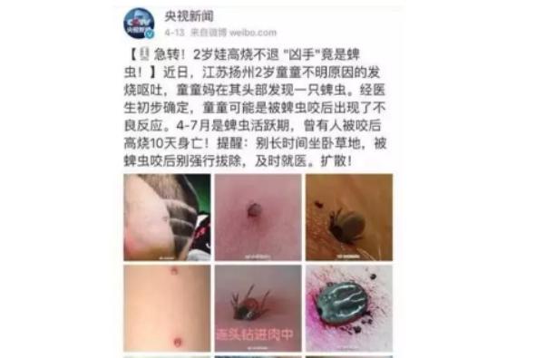 孩子被虫子叮咬，向妈妈“求救”无果擅自处理后，高烧不退
