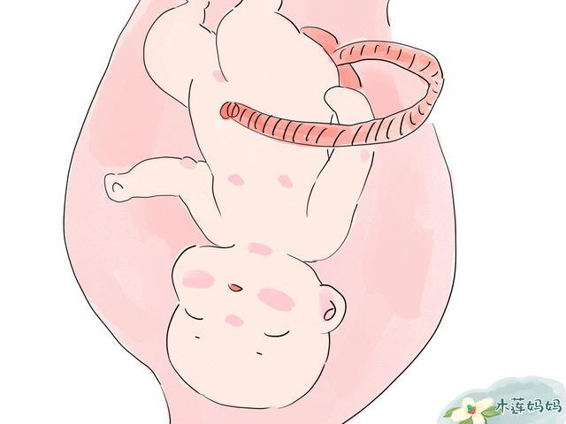 胎儿的“排泄物”是怎样被“处理”的？通过什么方式？你知道吗