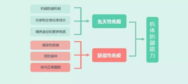 宝宝免疫力低，这个因素常常被家长忽视