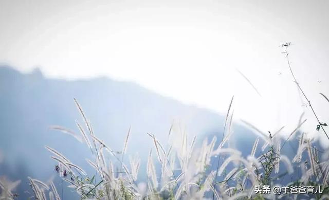 孩子反复积食，咳嗽有白痰，病刚好又开始流鼻涕咳嗽，怎么办