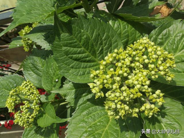 雇佣保姆有讲究，你知道选择什么样的保姆吗？