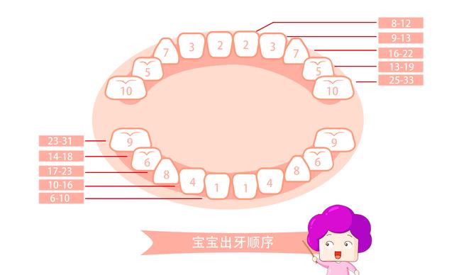 宝宝长蛀牙的危害你知道多少？这些护牙小tips快记起来