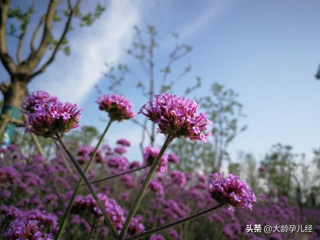宝宝剃胎毛，你要知道的十个方面知识，不可缺少