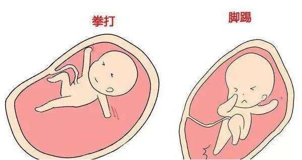 从这个月起，通过胎动可以显示宝宝是啥性格，看看你家属于哪一款？