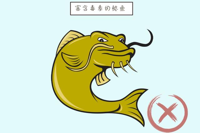 ?吃鱼补钙聪明？这3种鱼早被医生拉进“黑名单”，请懂得辨别好