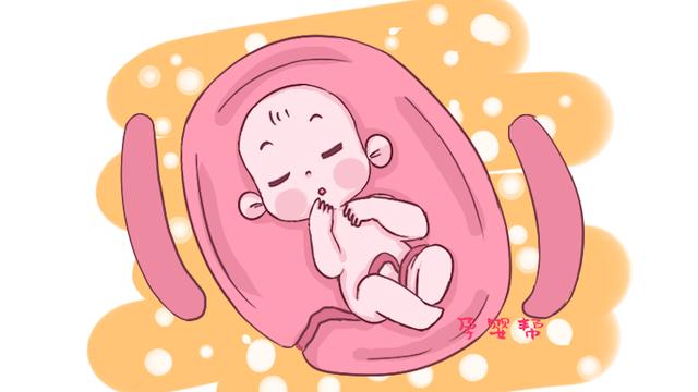 在肚子里的胎宝宝，一天需要吃几顿饭？答案和你想的可大有不同