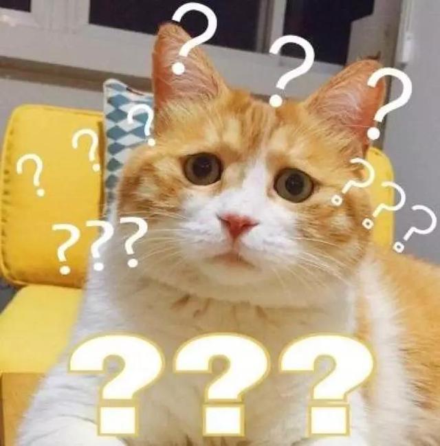有了二胎老大就变成戏精了，但永远精不过老二，看完笑晕了