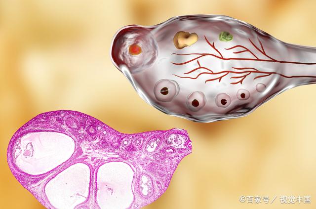 备孕时，若这4个条件你都满足了，怀孕也能更快一下