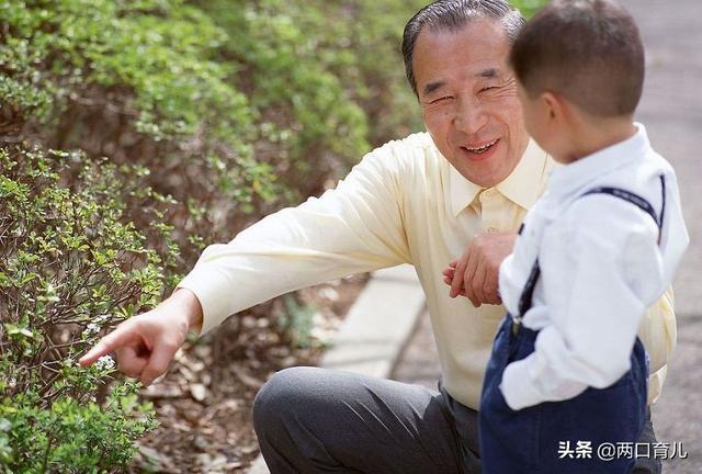 老人宠孩子能到什么地步？“隔辈亲”让人头疼，咱也不敢说