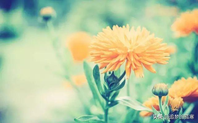 三流的父母做保姆，二流的父母做教练，一流的父母怎么样？
