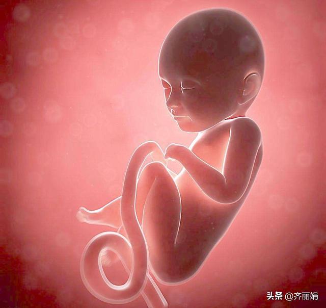 宝宝一直待在妈妈黑暗的肚子里害怕吗？结果你想不到