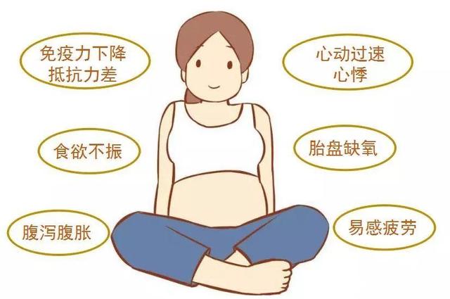 孕妇贫血对孕妈和胎儿危害大，为什么孕期妈妈容易患缺铁性贫血？