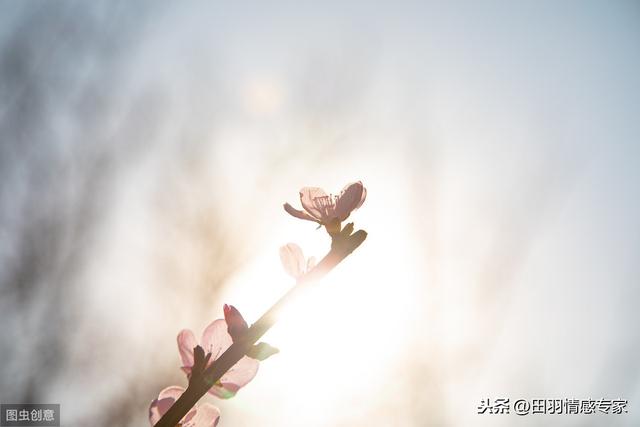 婆婆不帮忙带娃的家庭，最后都怎么样了