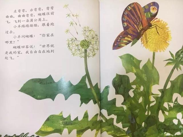 经典绘本 |《小羊和蝴蝶》