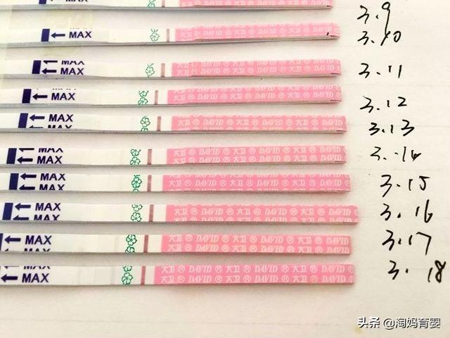 排卵期就能怀上？那要看夫妻能不能抓住这个“黄金时间”