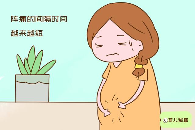 宝宝头那么大，妈妈产道那么小，娃是咋生出来的？过程很心酸