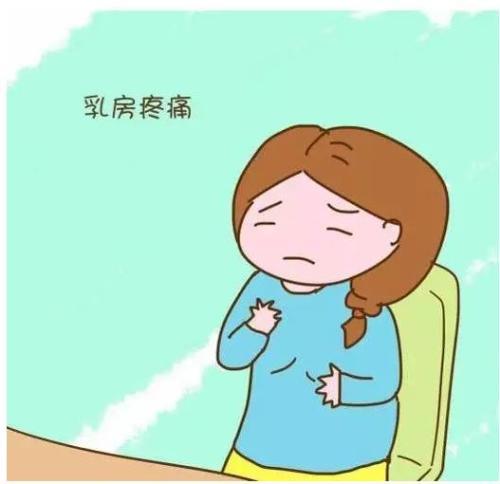 怀孕期间乳房胀痛、不适。该如何做好乳房护理