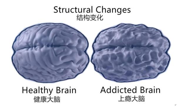 专家建议丢掉这个“哄娃神器”，你能做到吗？