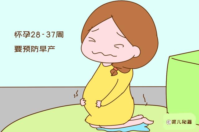 怀孕前三个月最危险？其实有个阶段更关键，不只关系到胎儿安全