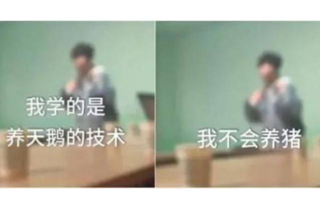 “只养天鹅不养猪”，群体鄙视链如何消除？孩子不该被分三六九等