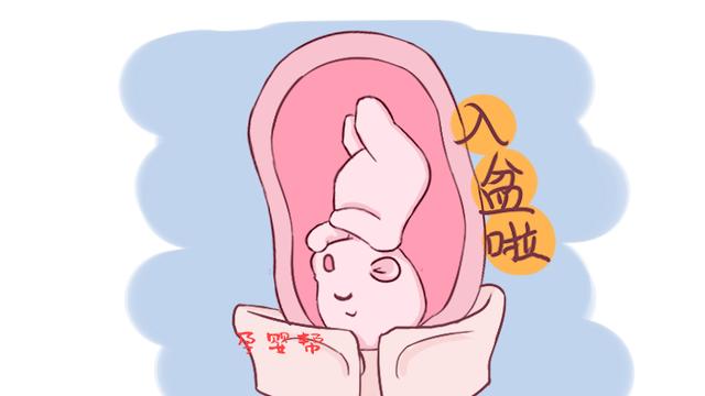 孕期的这2个阶段，胎宝会进行“搬家”，为了胎宝安全要注意静养