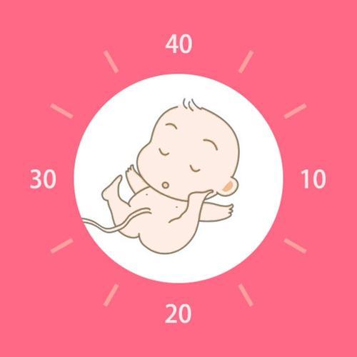 孕妈妈需要知道的关于胎儿的10个知识