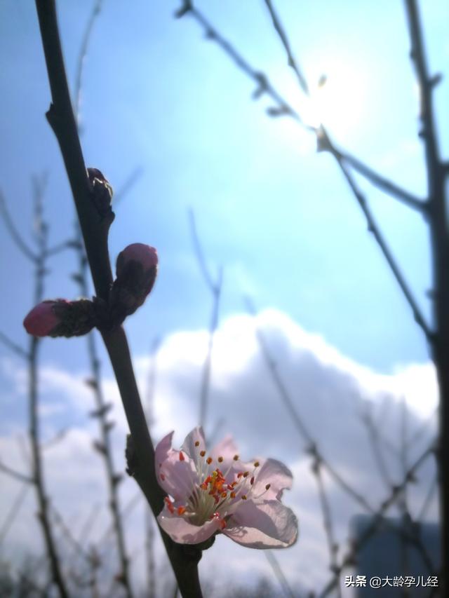 对于一岁和两岁的孩子，你对他的行为准则是怎么设定的？