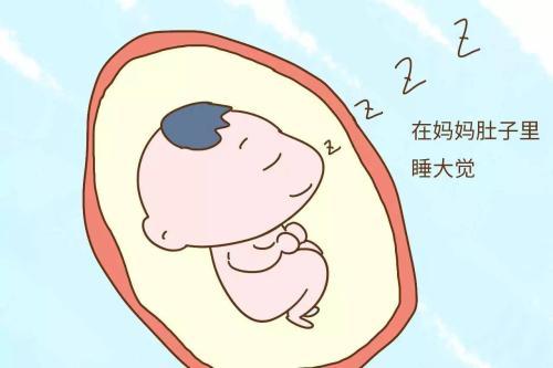 孕妈妈需要知道的关于胎儿的10个知识