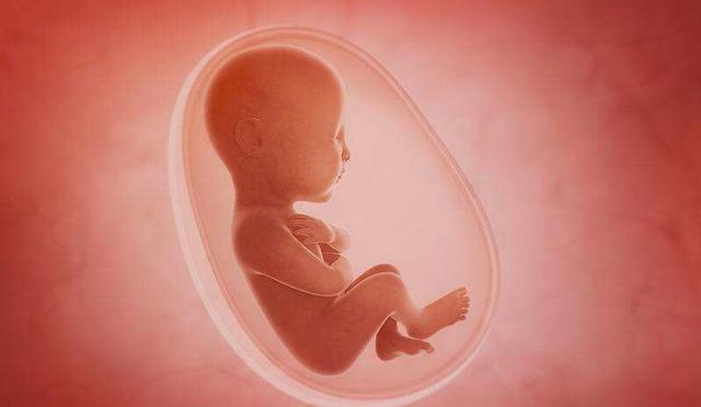 孕妇须知：哪些因素会影响胎宝宝大小？其实除了饮食，还有这些