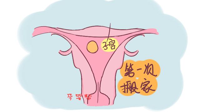 孕期的这2个阶段，胎宝会进行“搬家”，为了胎宝安全要注意静养