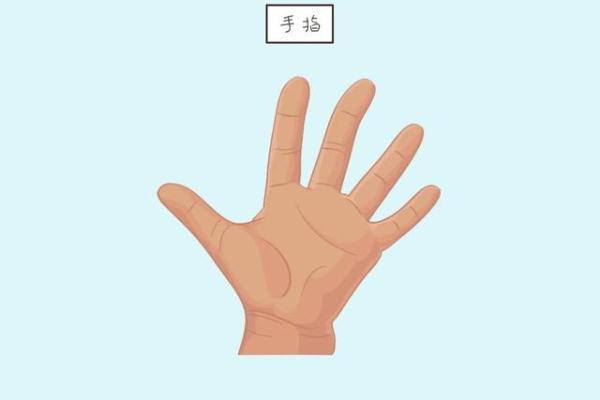 儿科医生：闲着没事多给孩子按摩几个位置，不仅聪明而且发育快