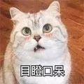 3岁宝宝满身红疹，竟是这个东西害的！家家户户都有