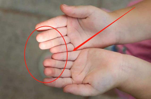 孩子指纹上的“罗”代表什么？命运还是性格？现在知道还不晚