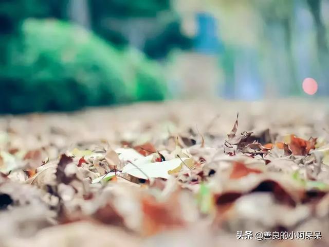 同样的孩子，不一样的家长，不一样的结局！（家长必读）