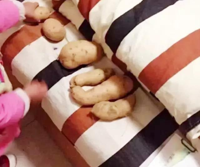 爱“搞事情”的孩子很聪明，3种能力别小觑，妈妈要会容忍懂引导