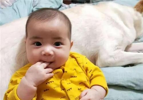 小孩未满3岁，有3种东西要少吃，影响孩子的发育，家长要谨记