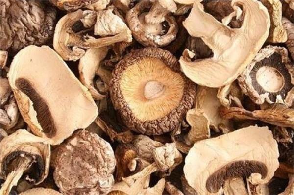 想让孩子提高免疫力？平时多吃5种菌类