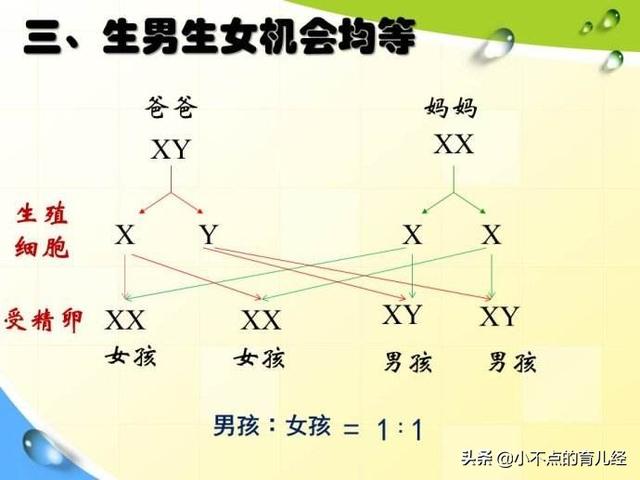 孩子的相貌和智商由谁决定？这些遗传规律，父母需要知道
