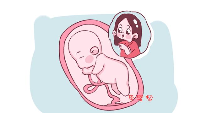 胎儿能尝到羊水的味道吗？10个鲜为人知的孕期冷知识，个个神奇