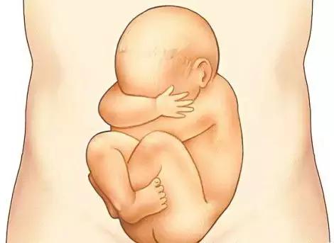 孕妇吃什么对胎儿智力好？全面解答让你一目了然