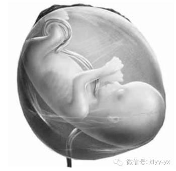 脐带绕颈会影响分娩吗？