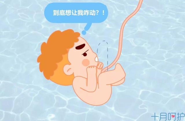 孕中晚期出现这种情况，是胎儿发出的“求救信号”，家长别大意了