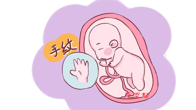 胎儿能尝到羊水的味道吗？10个鲜为人知的孕期冷知识，个个神奇